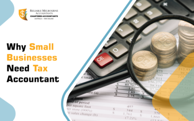 Why Small Businesses Need Tax Accountant