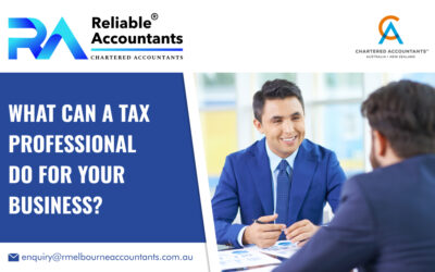 What Can a Tax Professional Do for Your Business?
